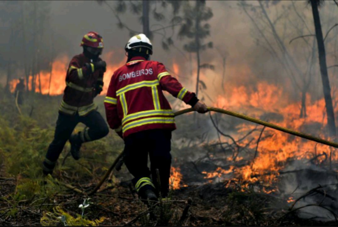 Incendio Forestal